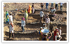 Rural Development